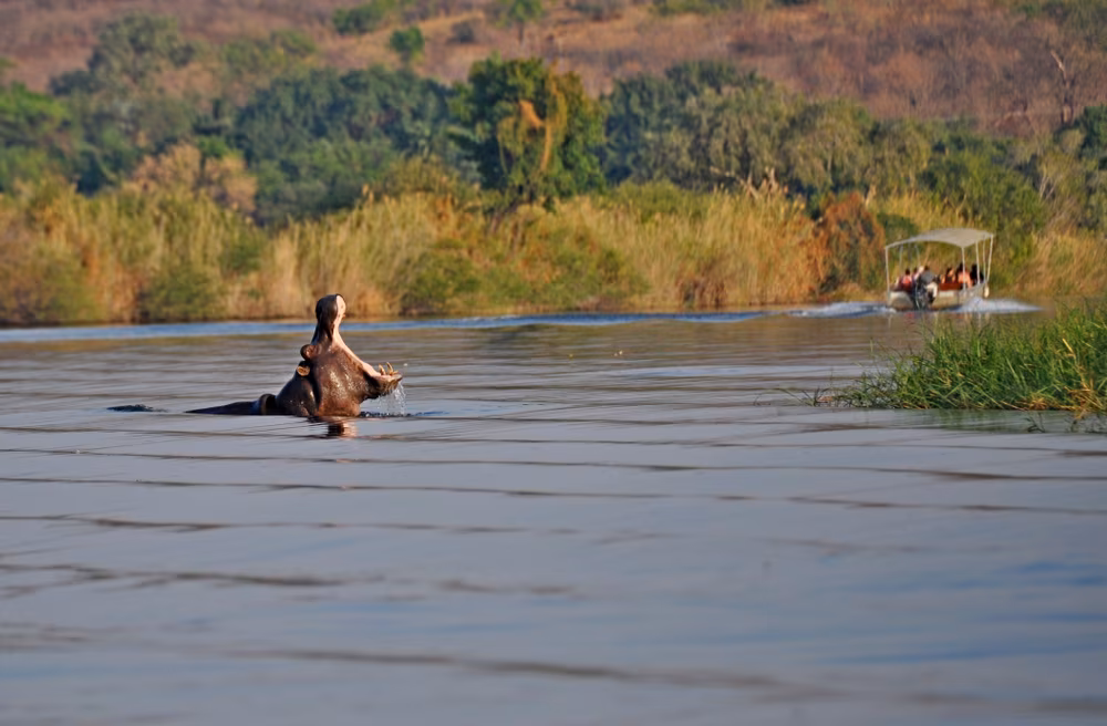 Loango, o reino da vida selvagem